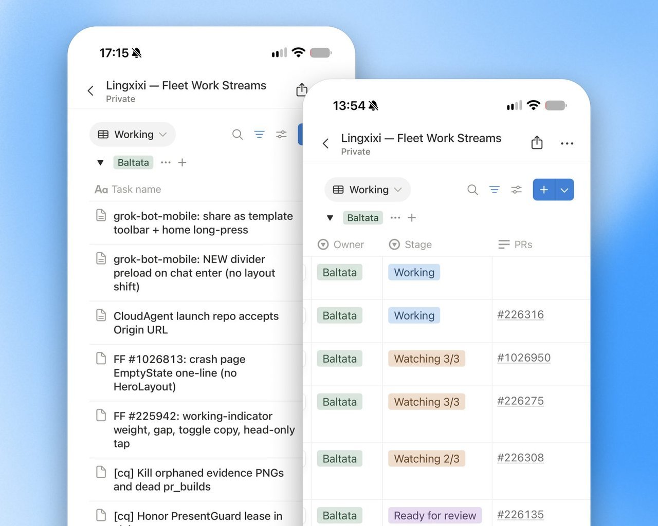 A shared Notion database of pull requests the bots review